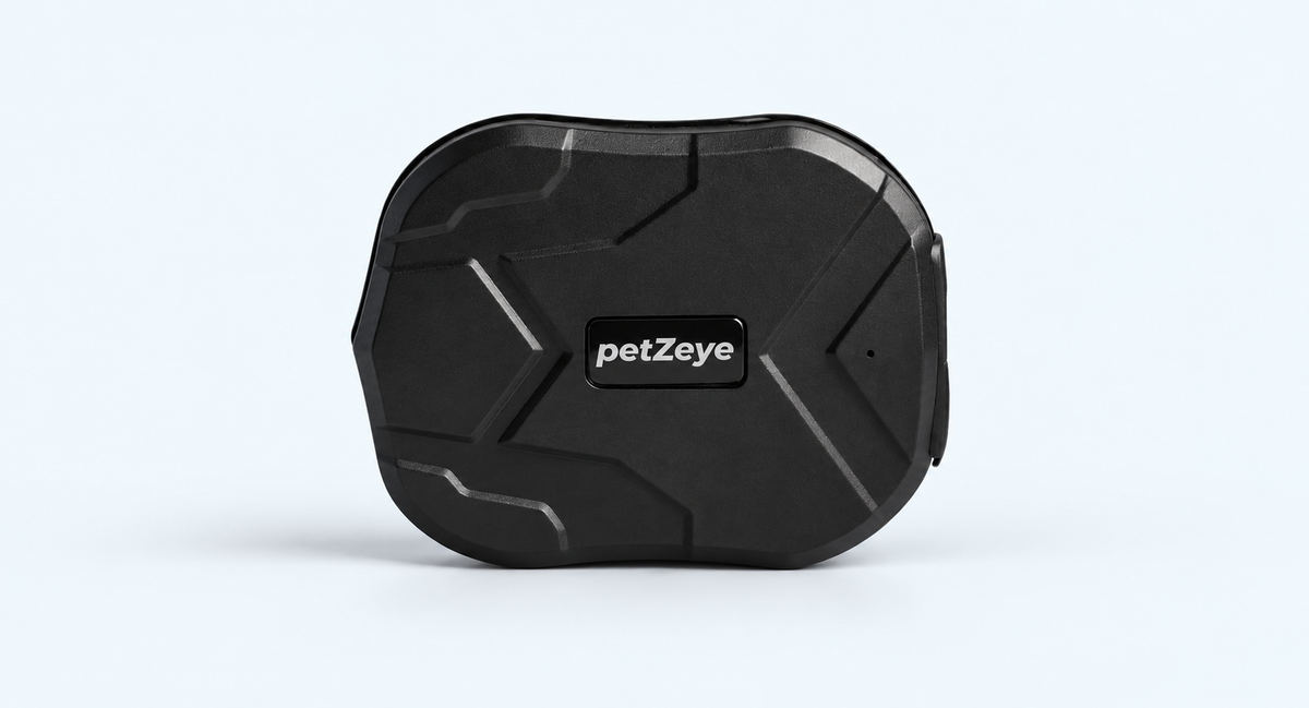 Black petZeye GPS 905 vehicle tracker on a light background