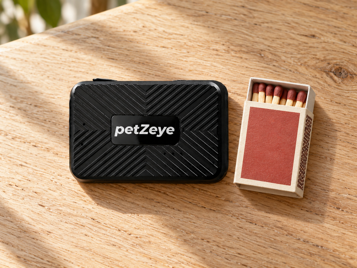 petZeye GPS 913 tracker beside a matchbox for size comparison