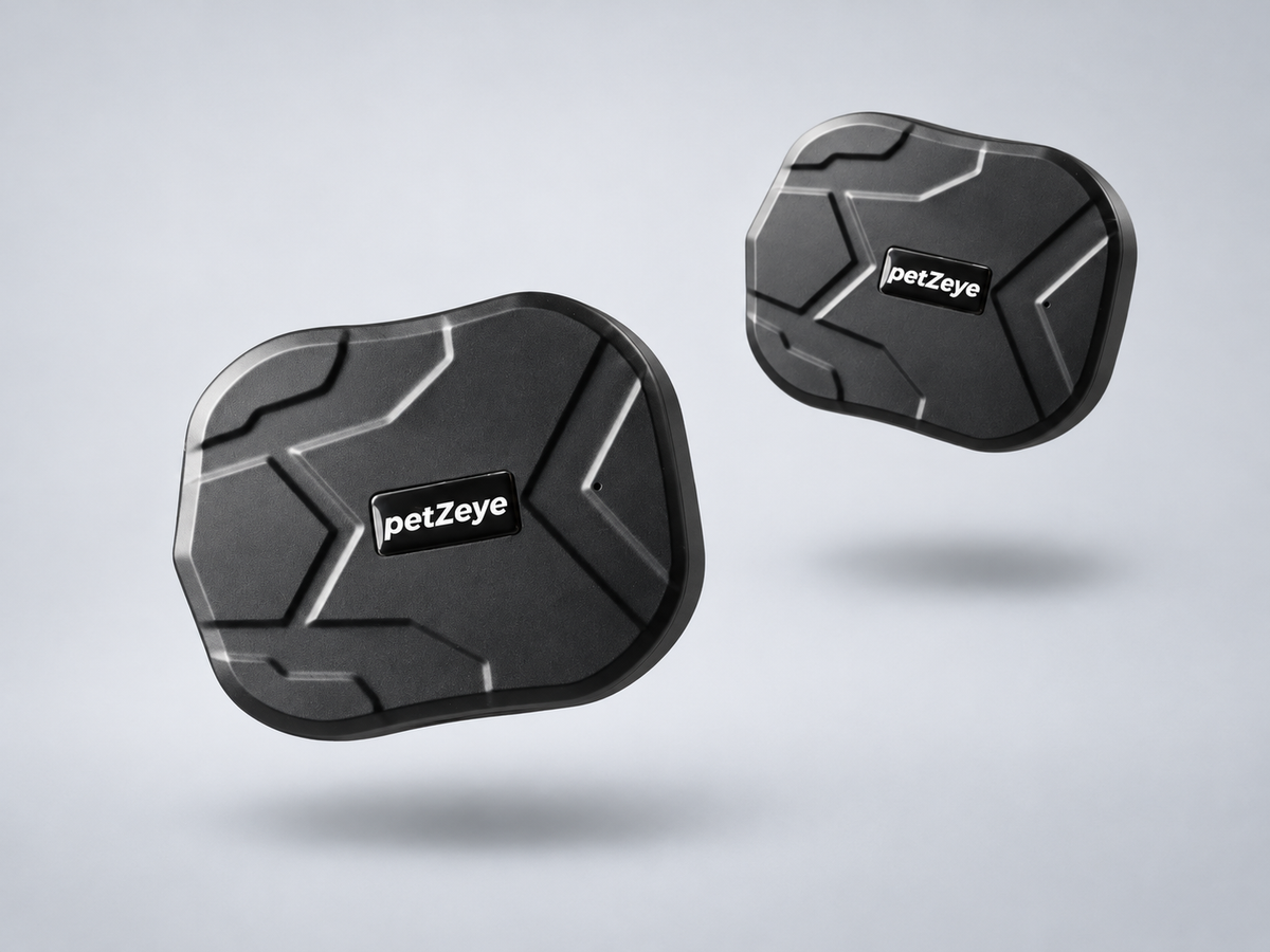 Two compact petZeye GPS 905 Mini personal trackers shown at different angles