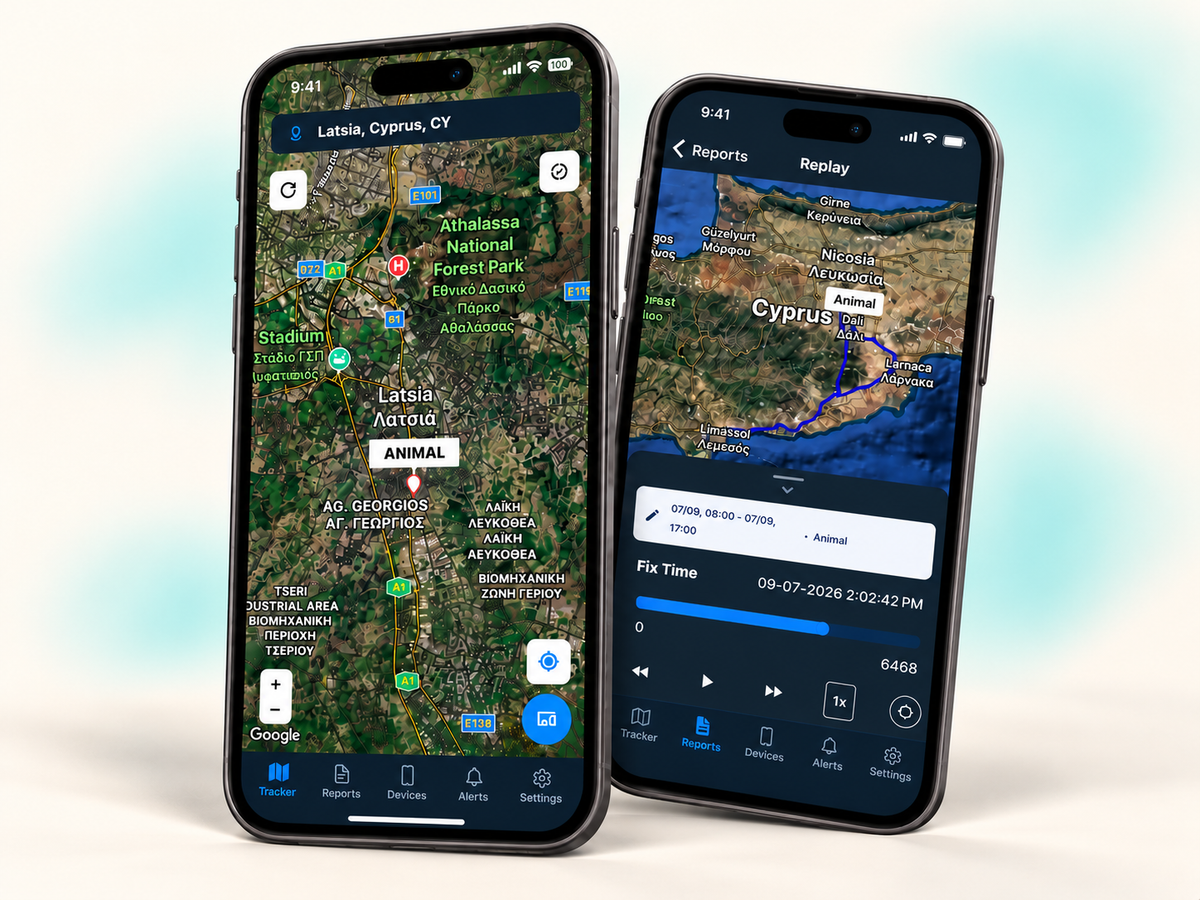 Phone screens displaying the petZeye app’s pet activity tracking features