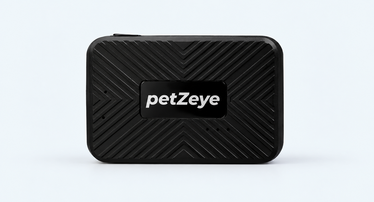 Compact black petZeye GPS 913 tracker on a light background