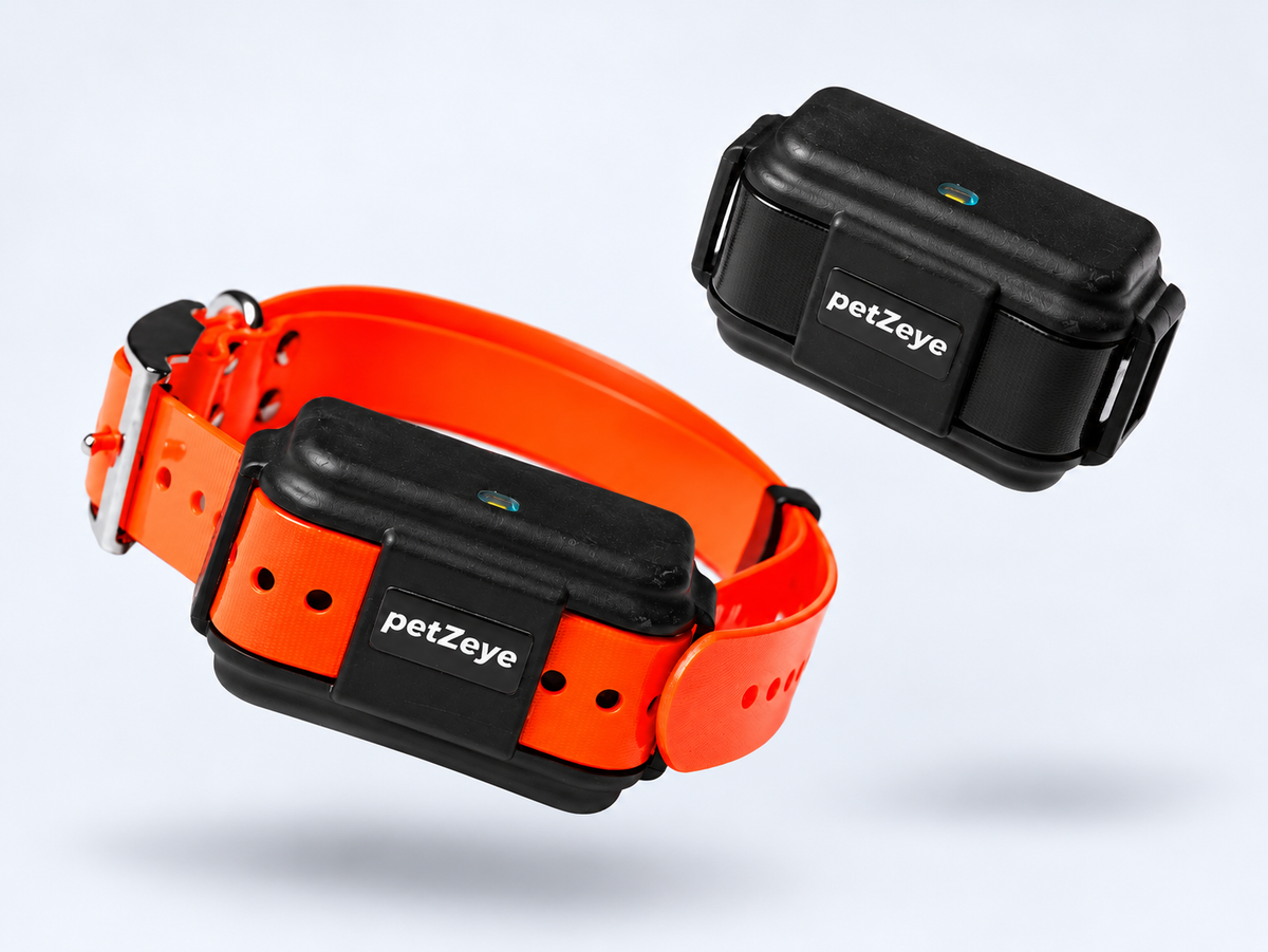 Two petZeye GPS 919 trackers shown at different angles, one attached to an orange collar