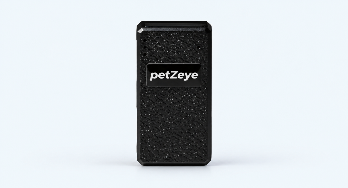 Small black petZeye GPS 901 tracker on a light background