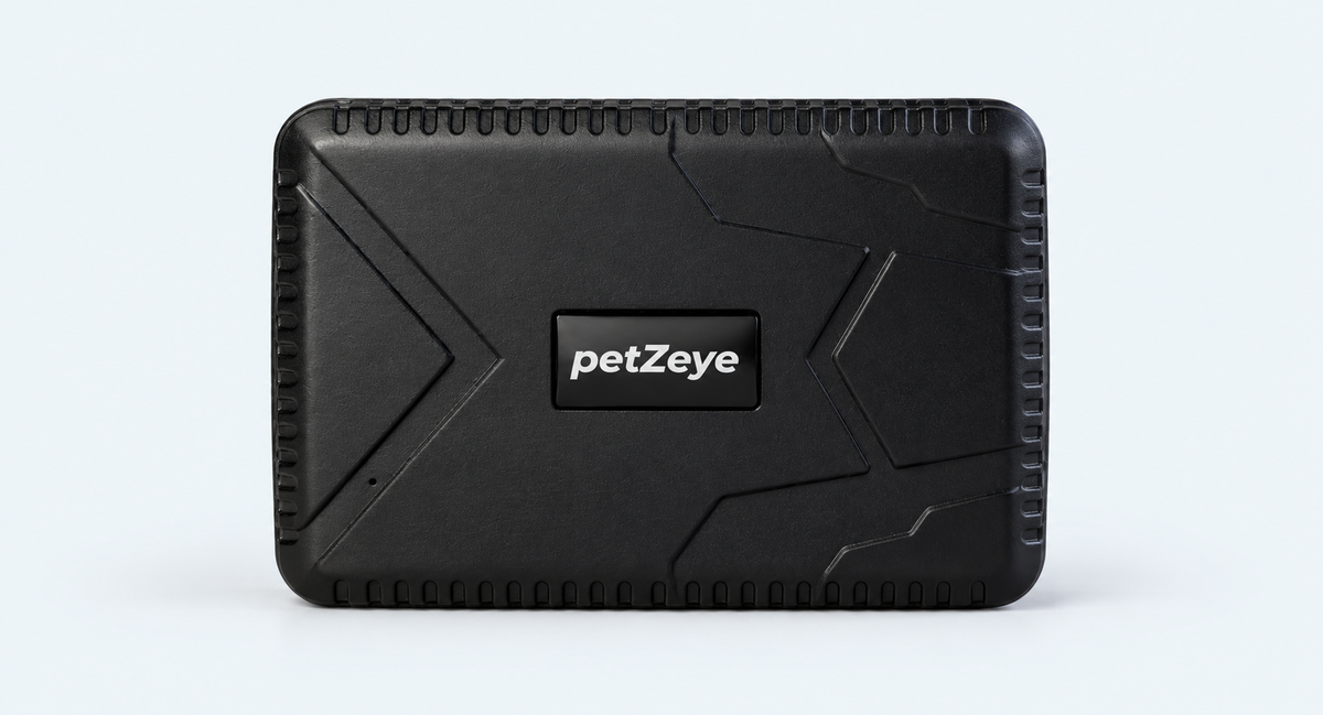 Black petZeye GPS 915 vehicle tracker on a light background