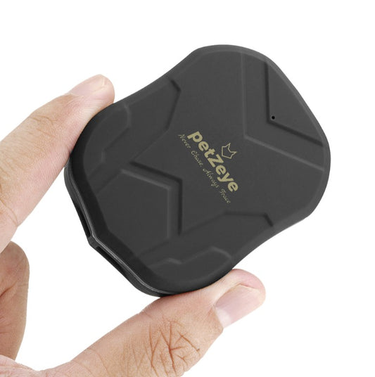 petZeye GPS Tracking Device (905 mini) 2G - No subscription, No Contract, No Additional Fees - 10 Year Package