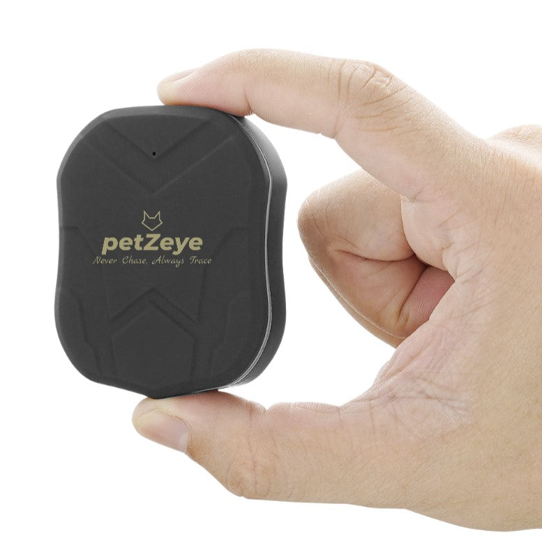 petZeye GPS Tracking Device (905 mini) 2G - No subscription, No Contract, No Additional Fees - 10 Year Package